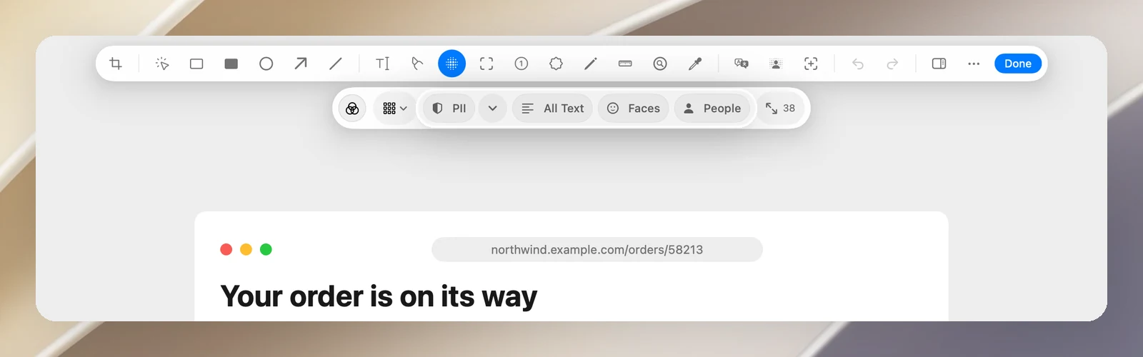 The Auto Redact group in the Blur tool's options: PII, All Text, Faces, People