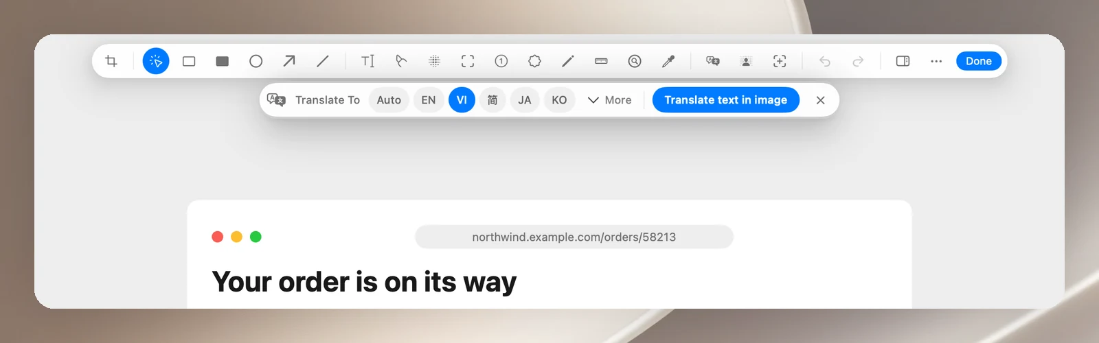 The Translate To bar with the Auto, EN, VI, 简, JA, KO and More chips, and the Translate text in image button